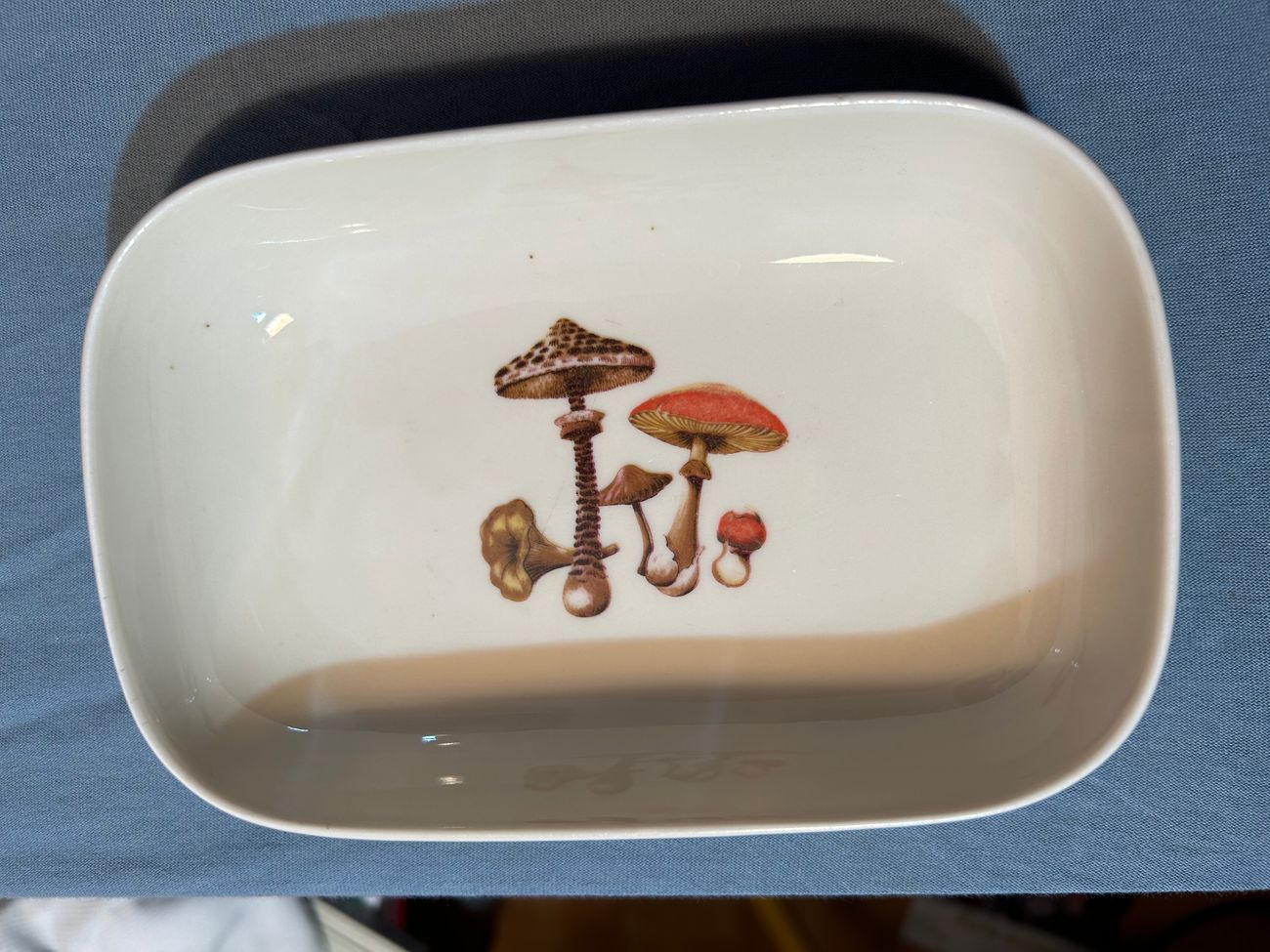 Swissair Werbung Pilze  Swissair Werbung 